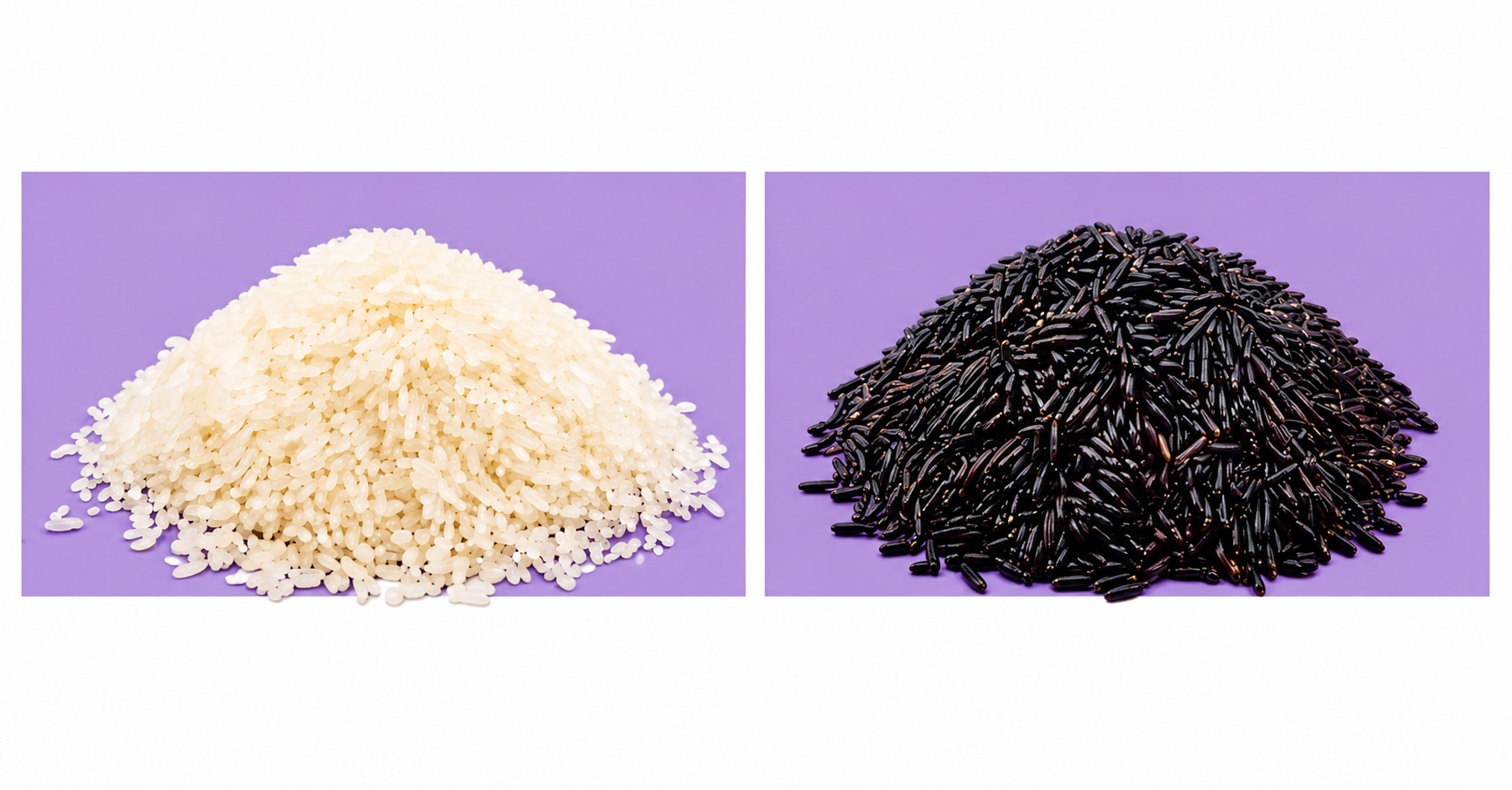 Riz blanc et riz noir fermentés utilisés en cosmétique